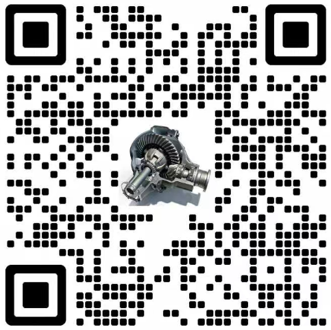 contact us，Mia, Sales Representative at Chengkun Gears