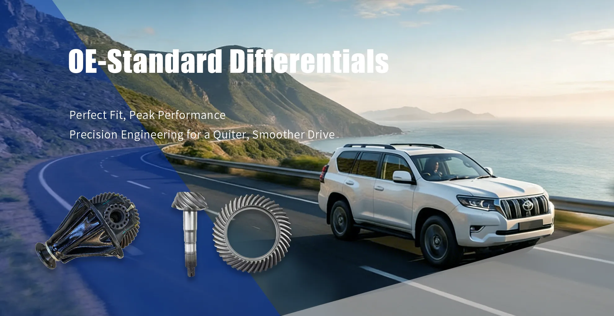 Passenger Car Differentials